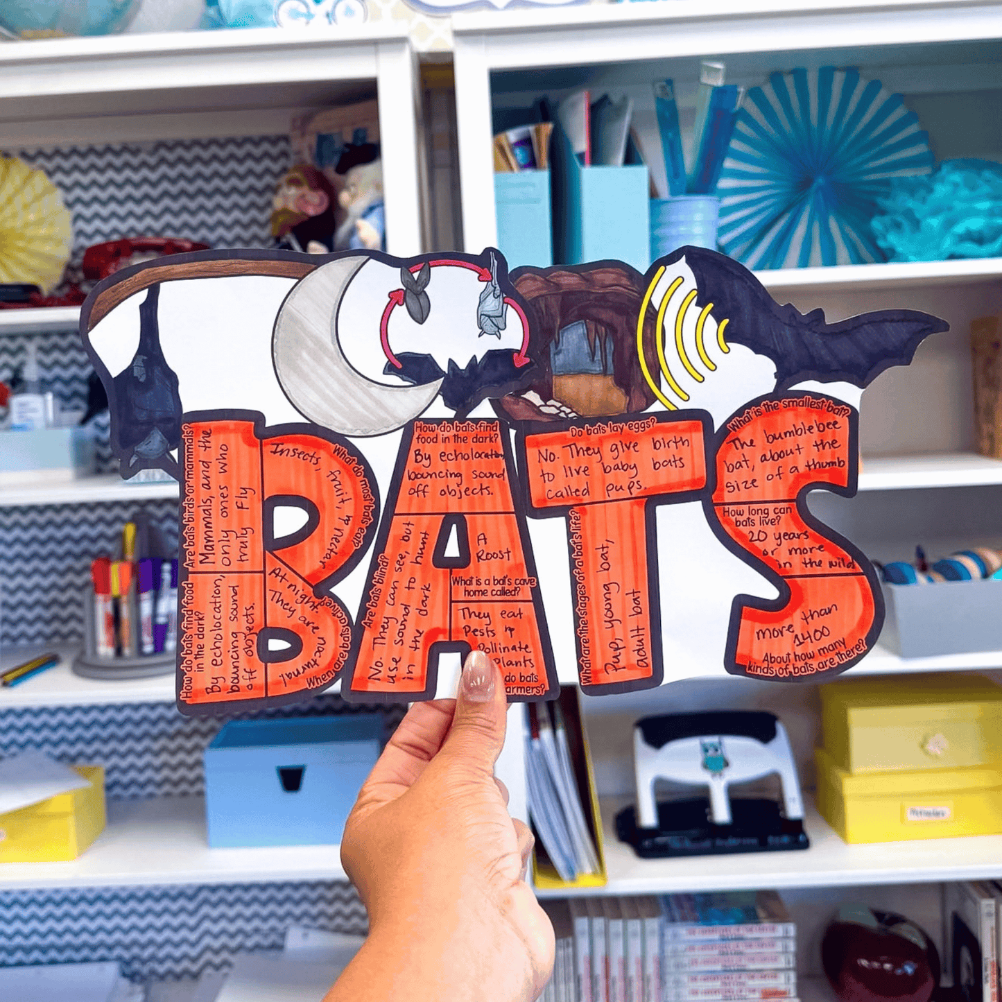 Bats Facts Craft