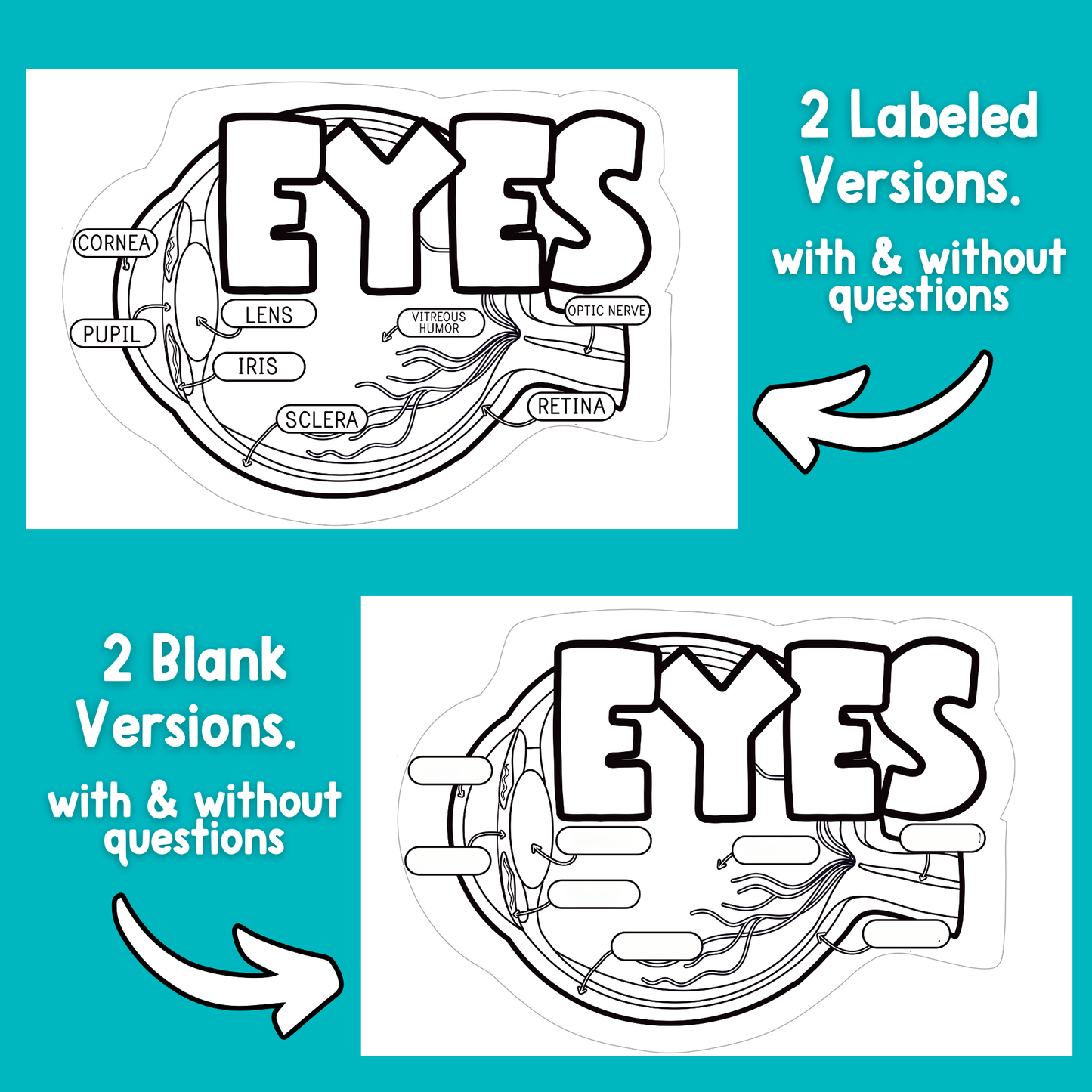 Parts of the Eye Diagram