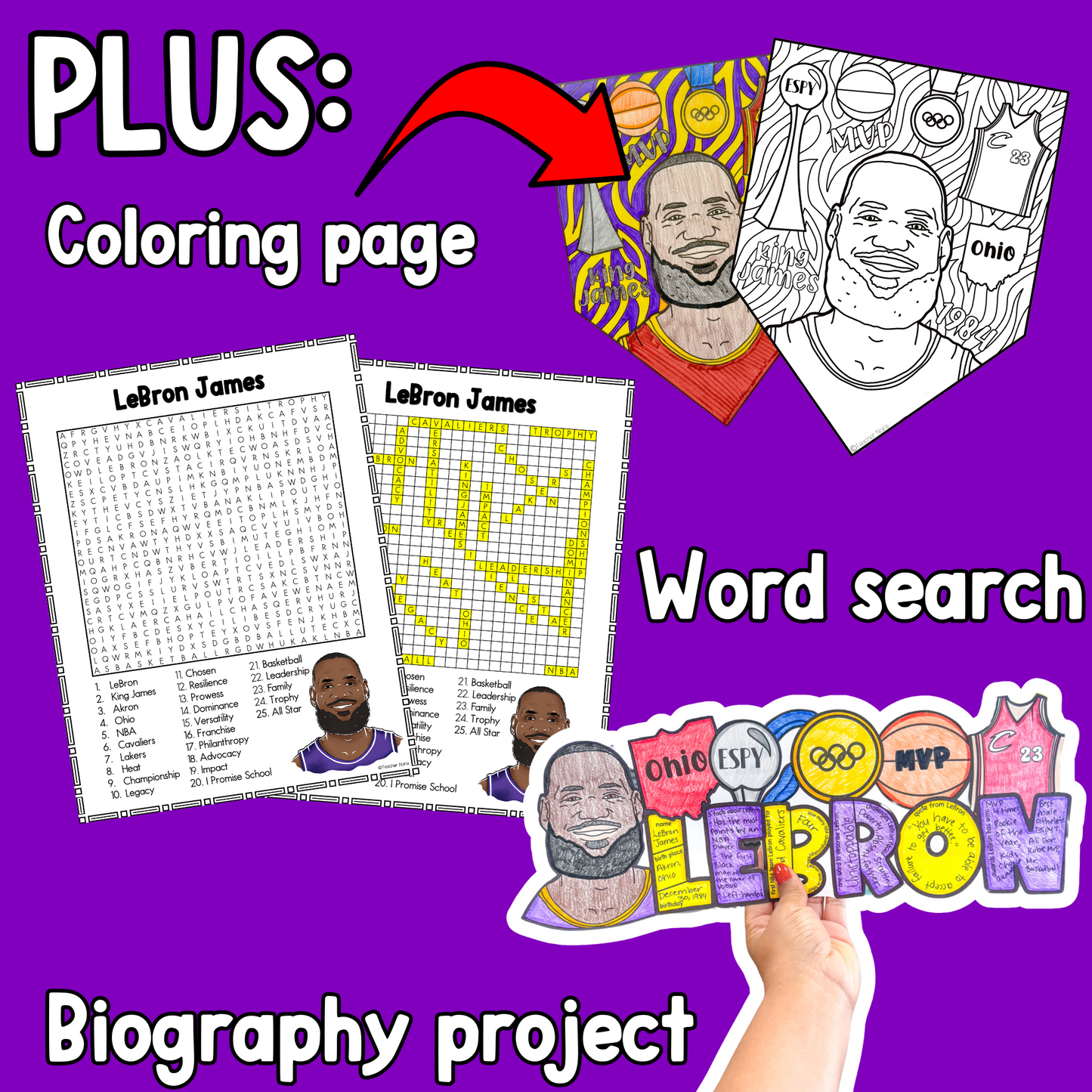 LeBron James Reading Comprehension Project