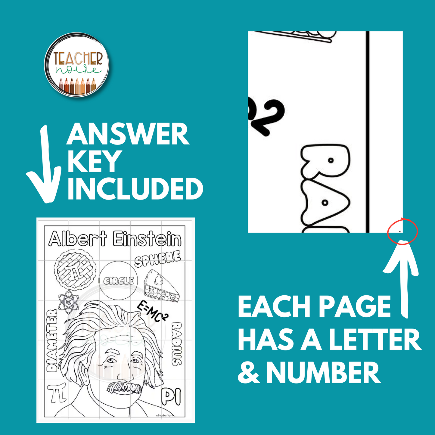 Albert Einstein- Pi Day Activity