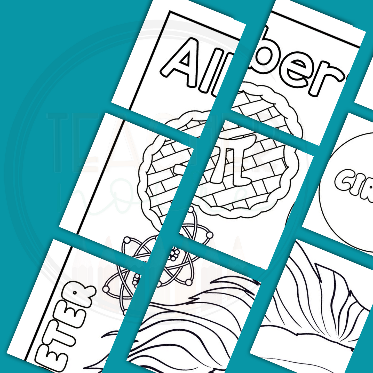 Albert Einstein- Pi Day Activity