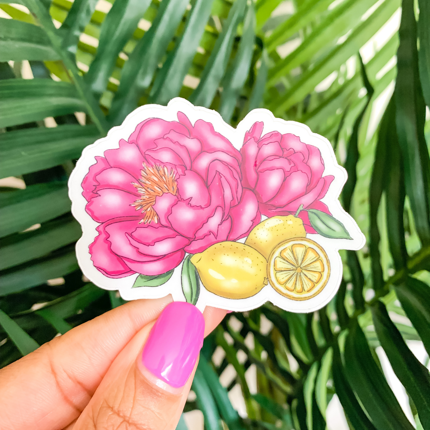 Spiral Journal Bundle