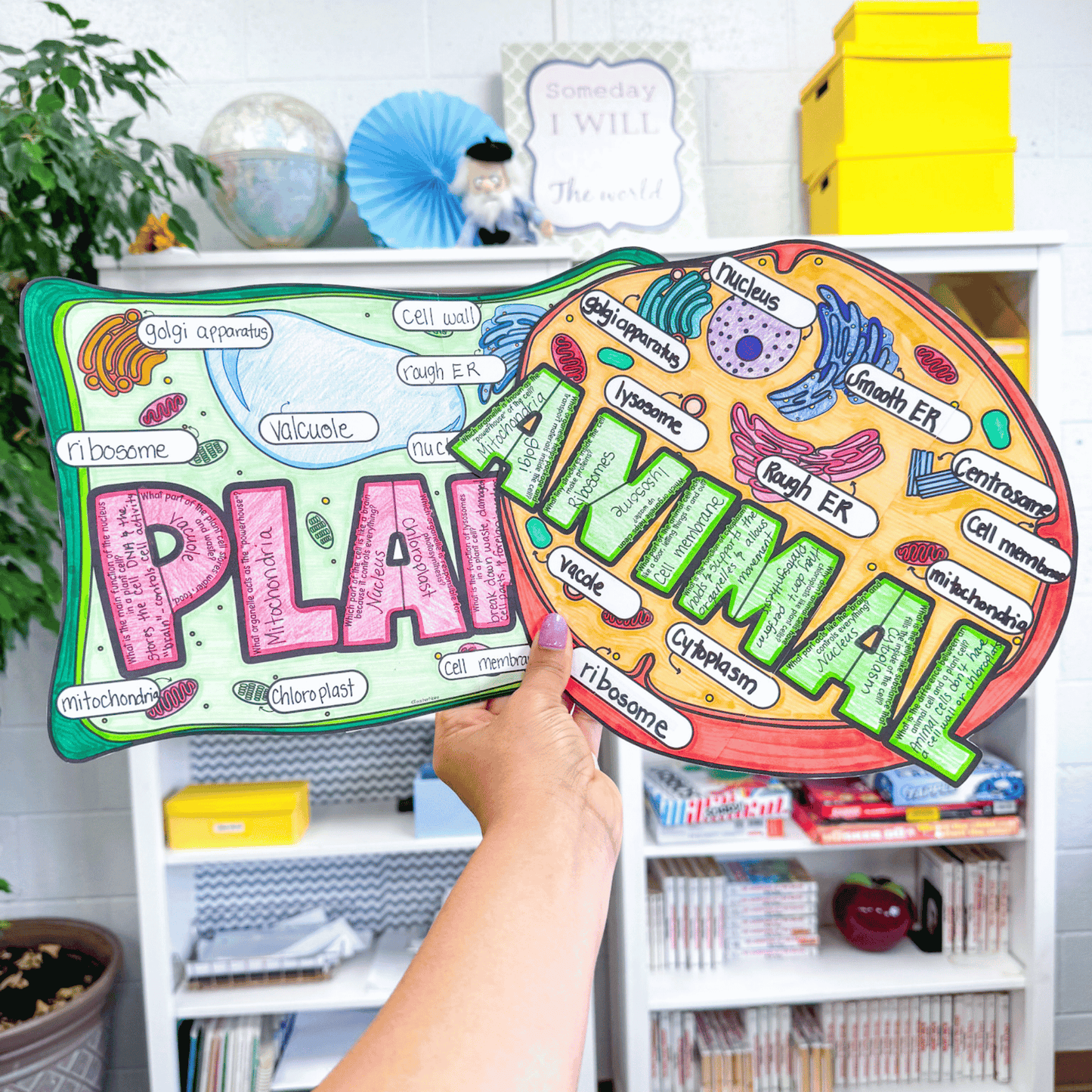 Plant and Animal Cells Bundle