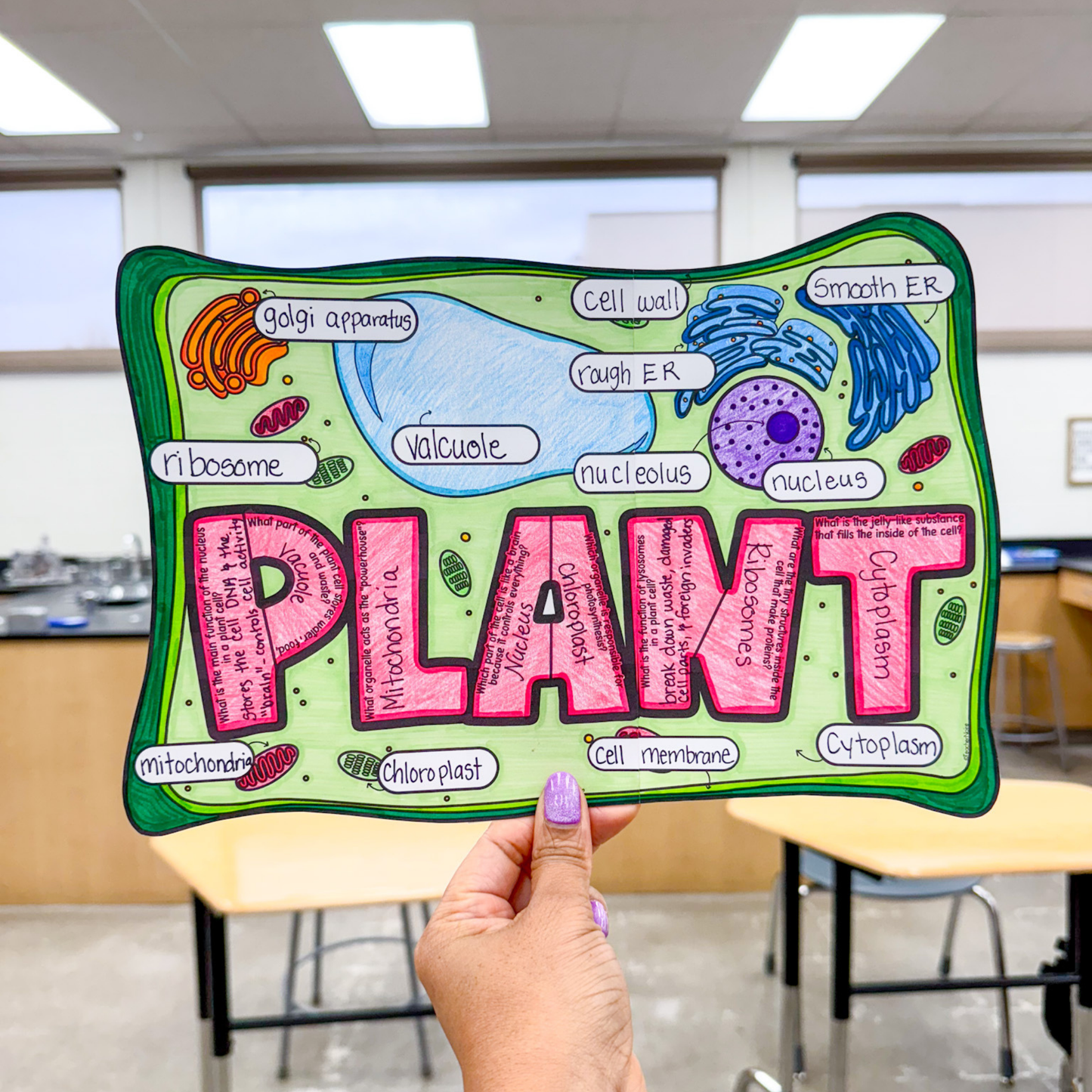 Plant Cells Craftivity