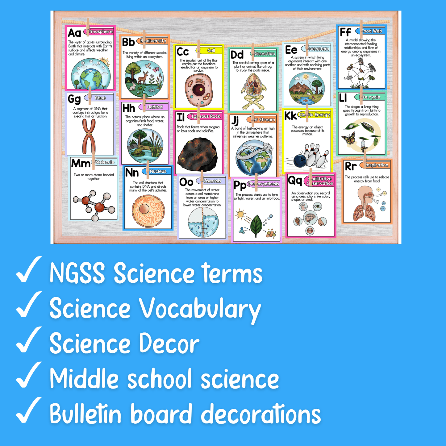 Science Alphabet Vocabulary Posters