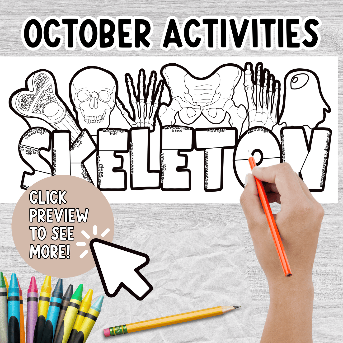 Skeleton Research Project