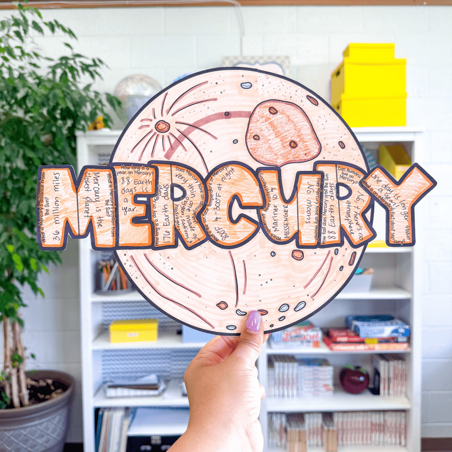 Mercury Research Project