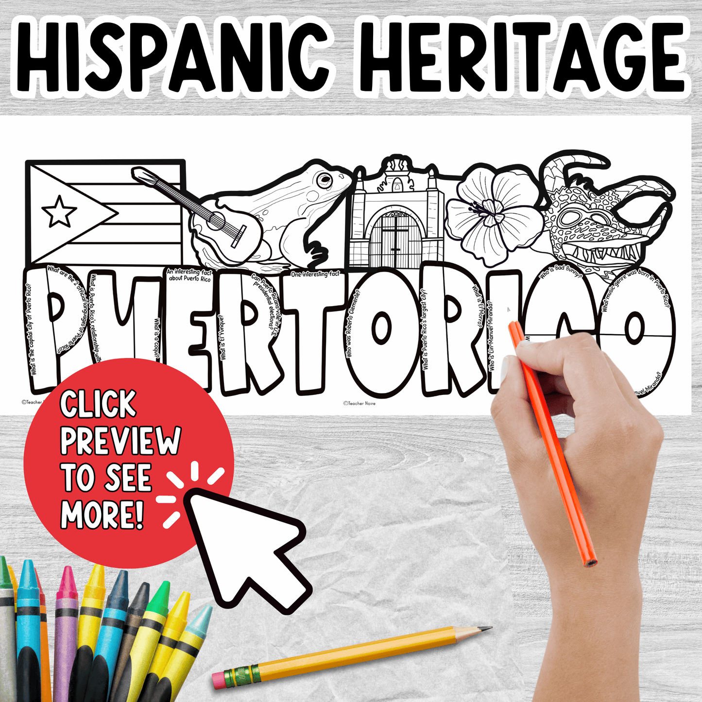 Puerto Rico Research Project