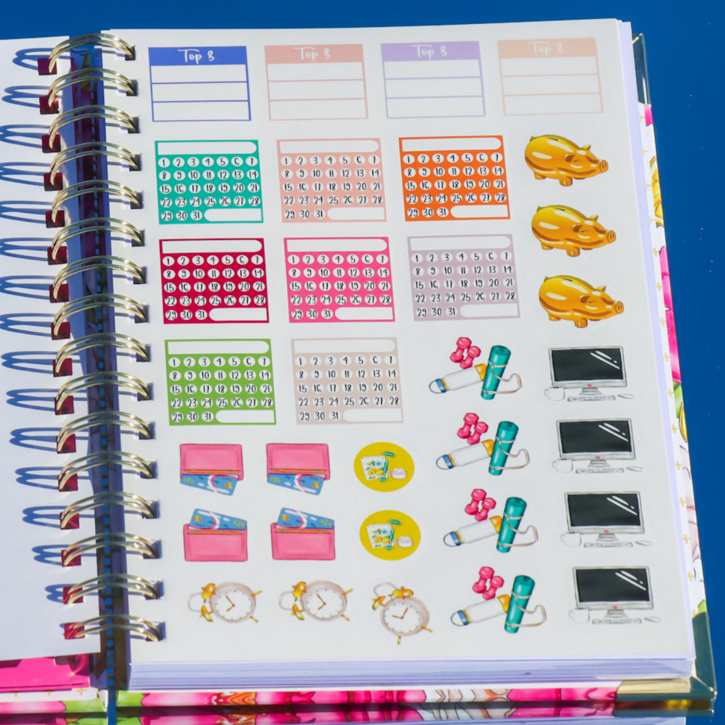 planner sticker goals