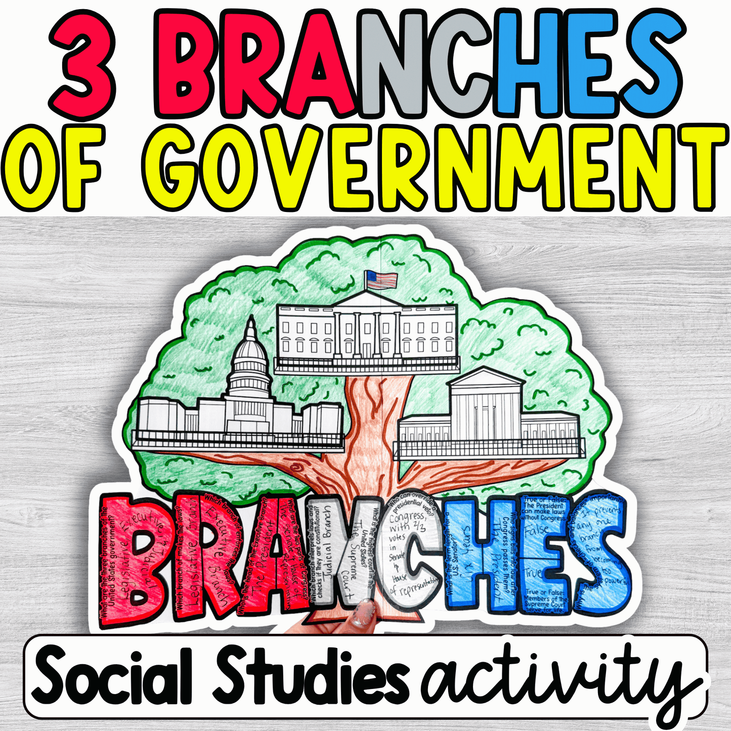 3 Branches of Government Tree Craft
