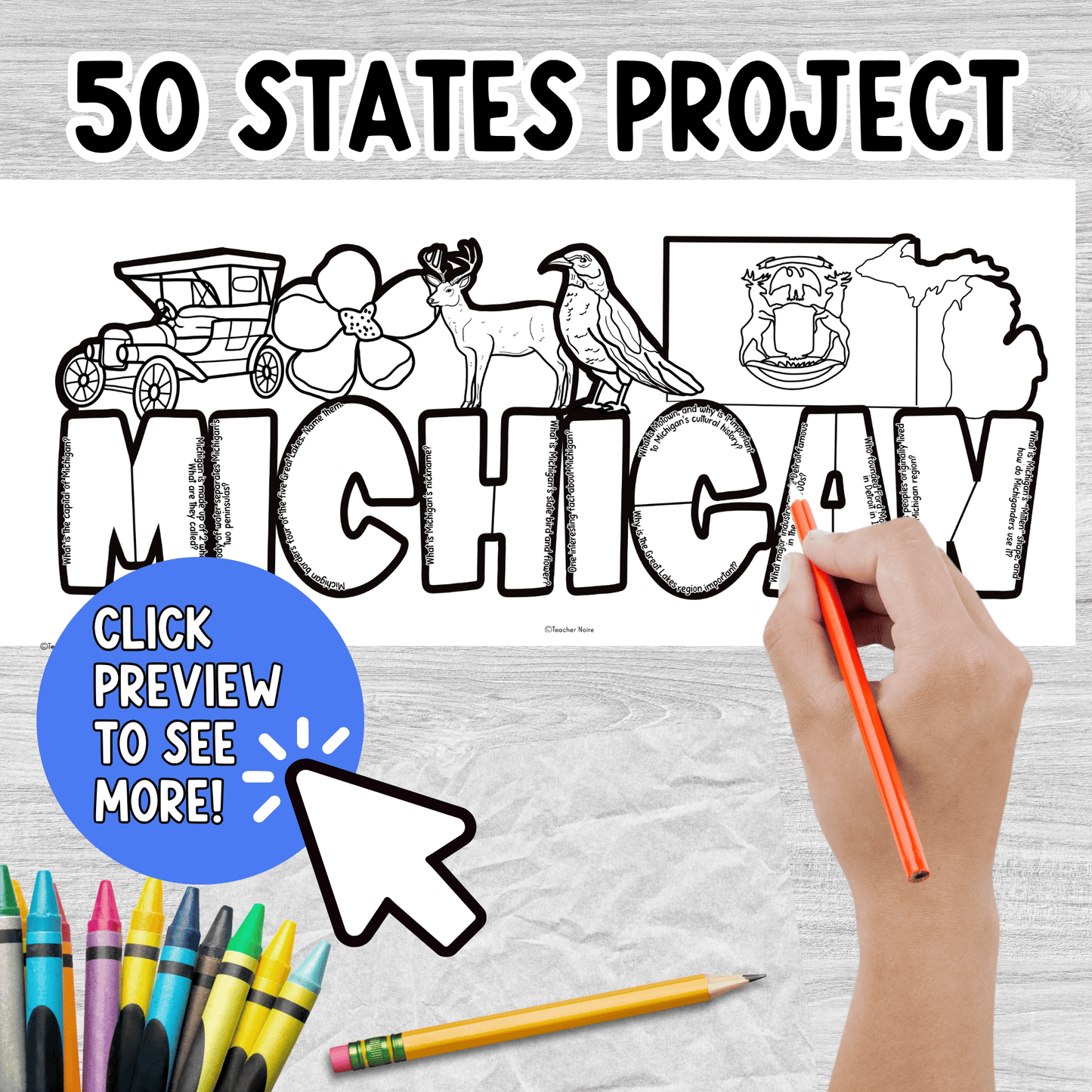 Michigan State Project