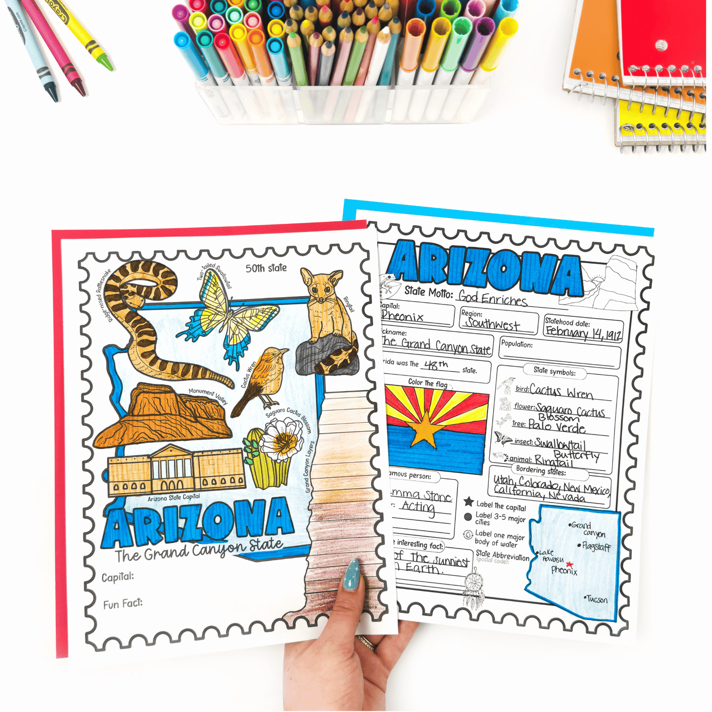 50 States Research & Coloring Pages Bundle