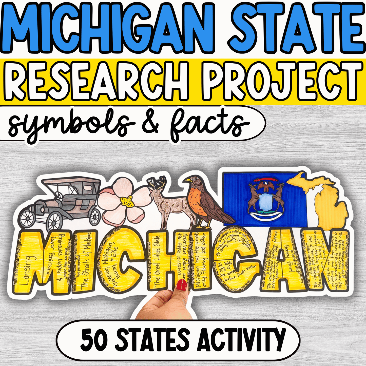 Michigan State Project