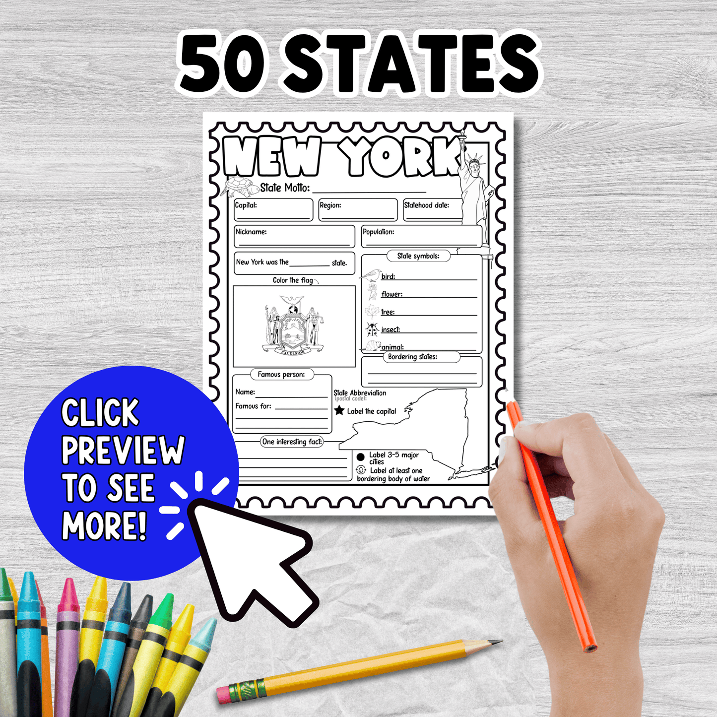 50 United States Research Project