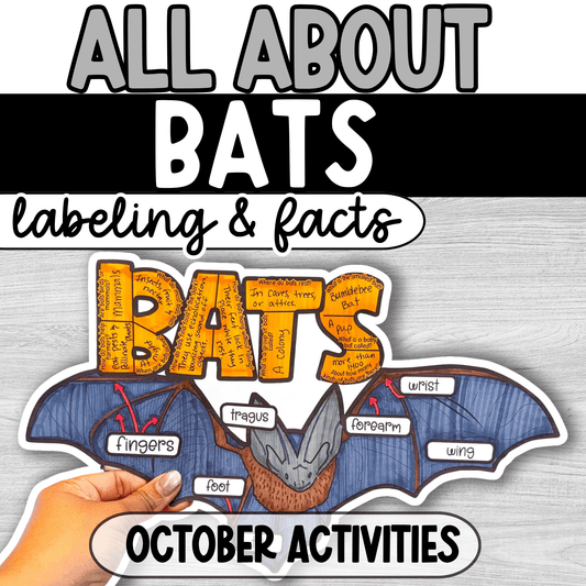 All About Bats Project