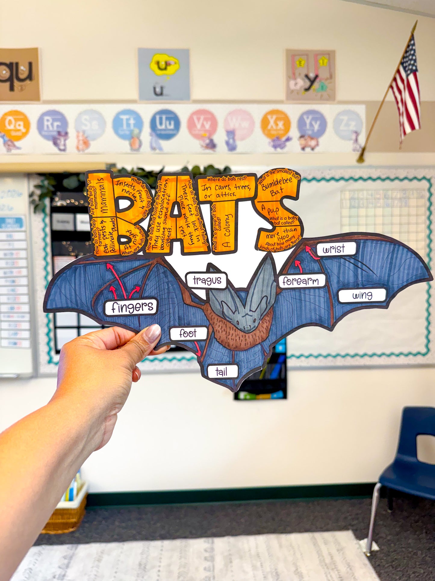 All About Bats Project
