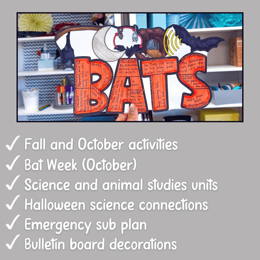 Bats Facts Craft