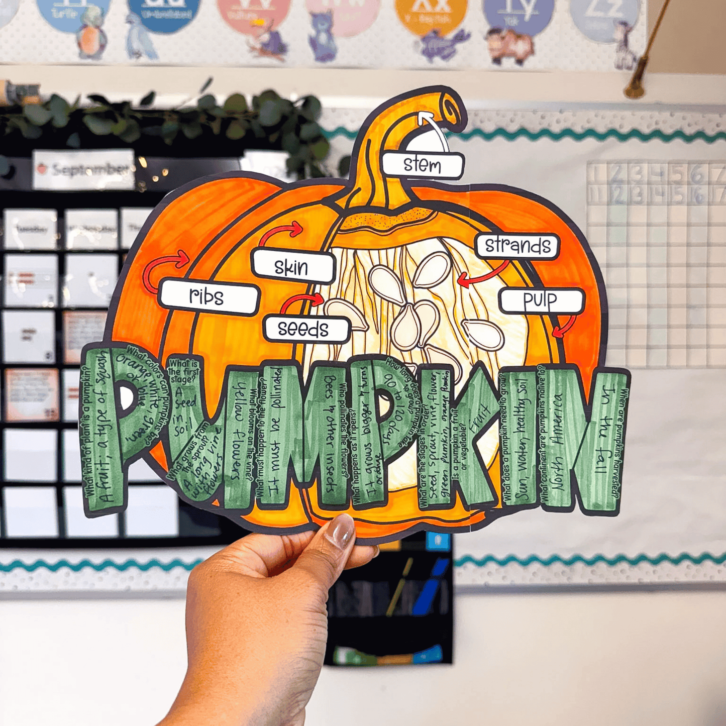 Parts of a Pumpkin Craft