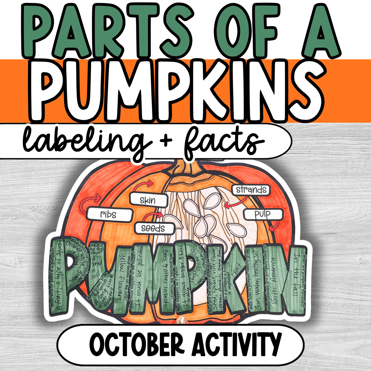 Parts of a Pumpkin Craft