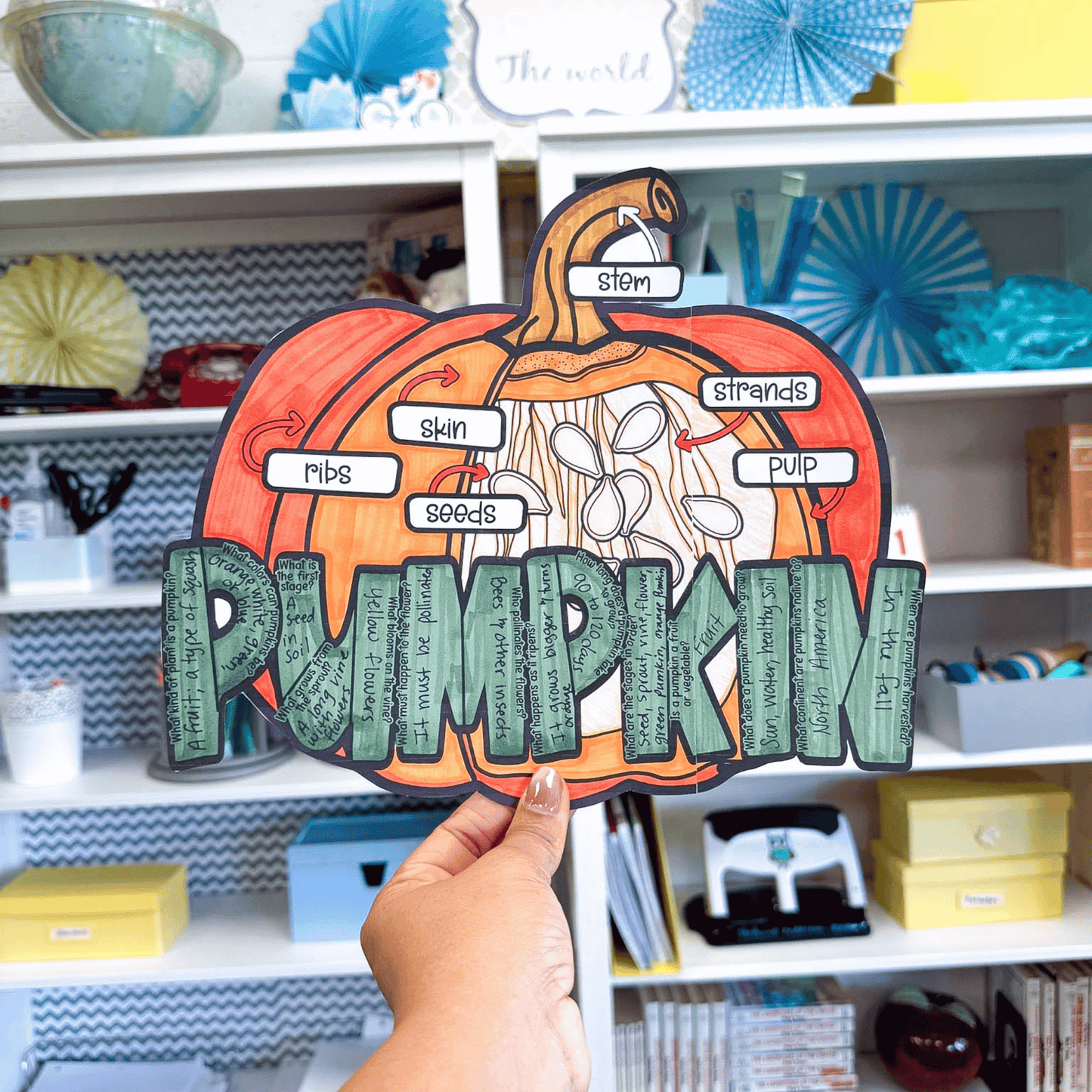 Parts of a Pumpkin Craft