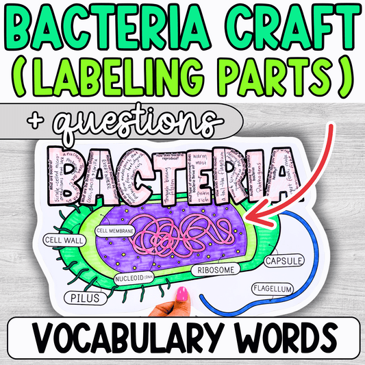Bacteria Cell Labeling Diagram