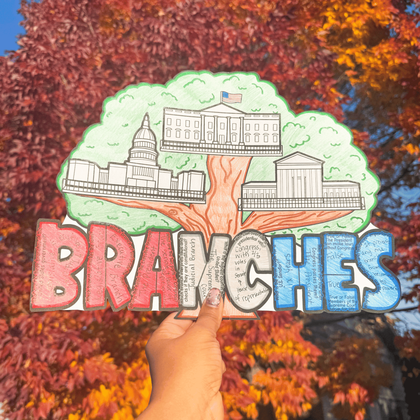 3 Branches of Government Tree Craft