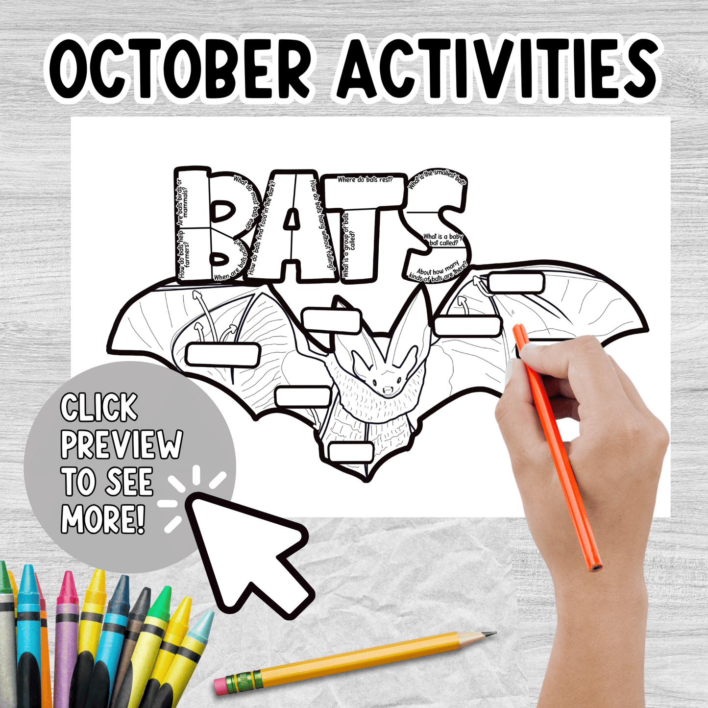 All About Bats Project