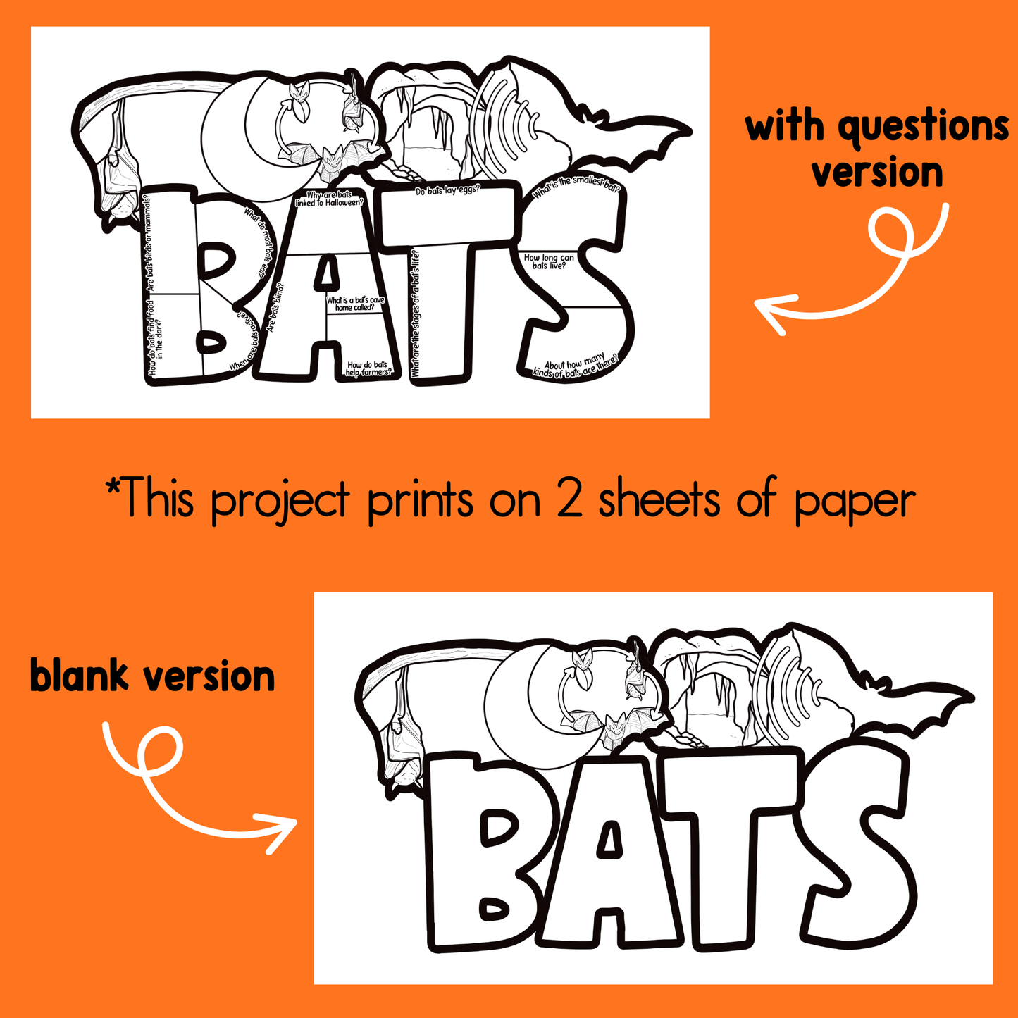 Bats Facts Craft