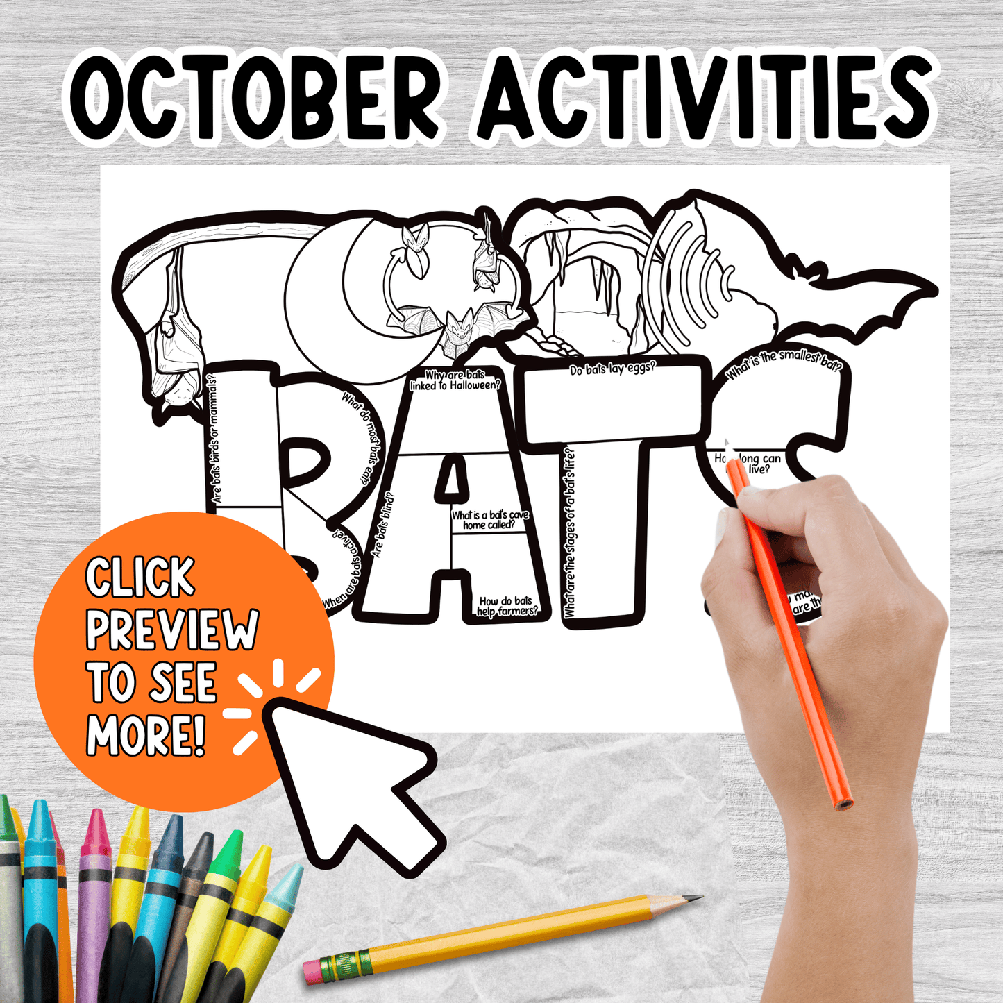 Bats Facts Craft