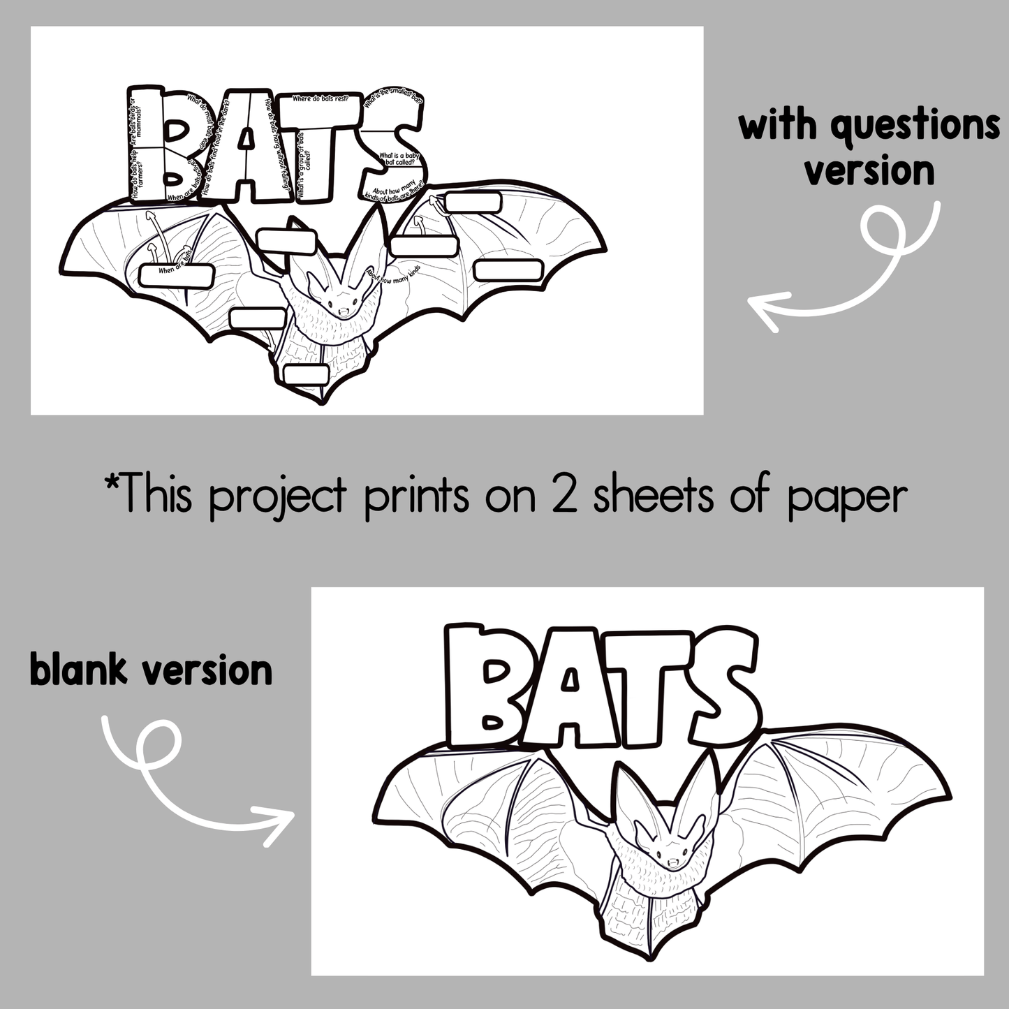 All About Bats Project
