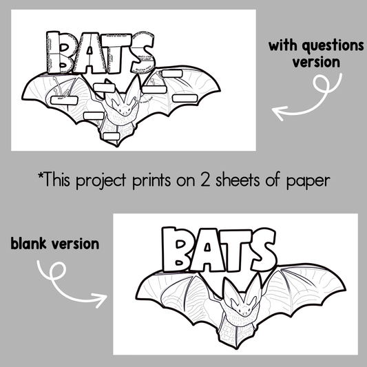 All About Bats Project