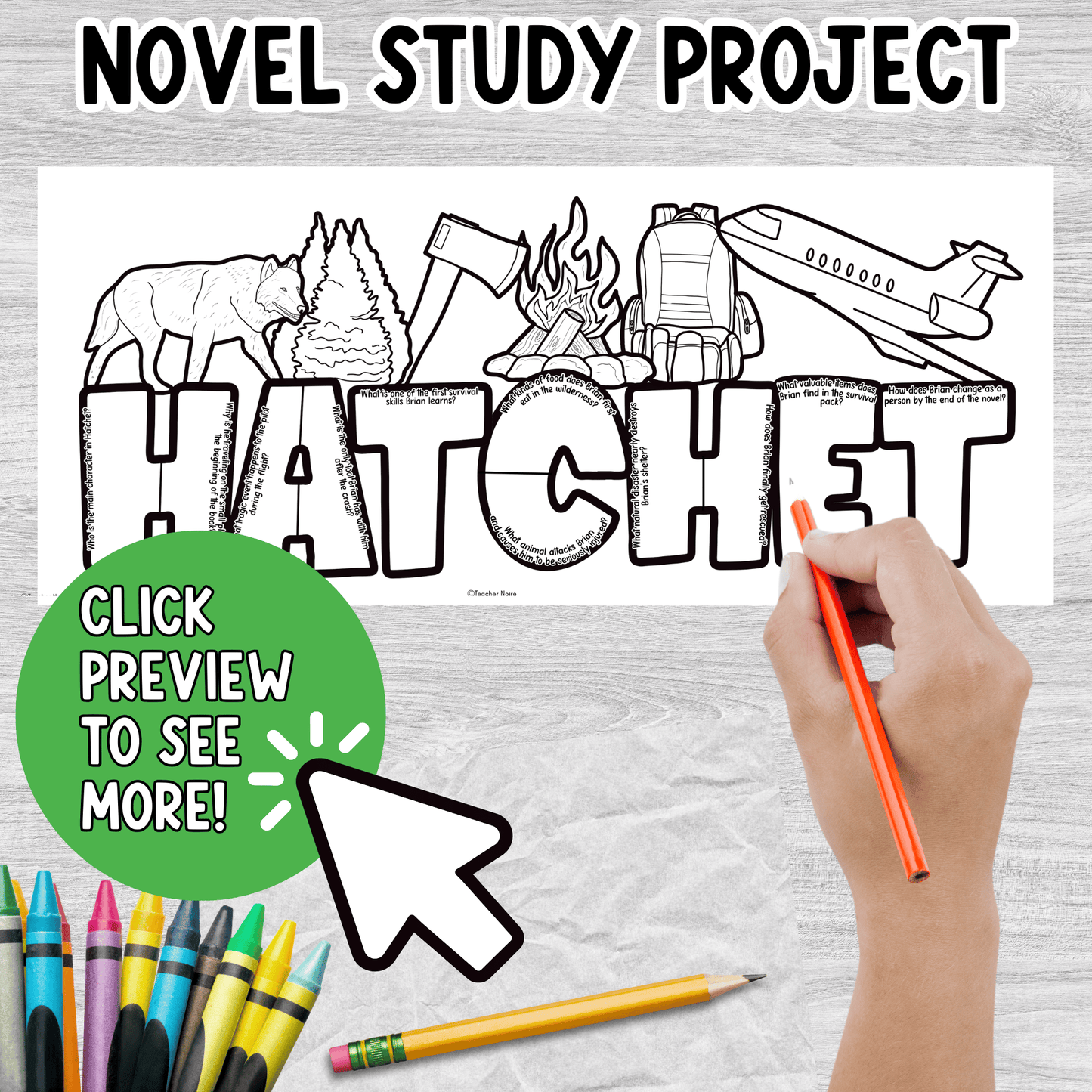 Hatchet Novel Study