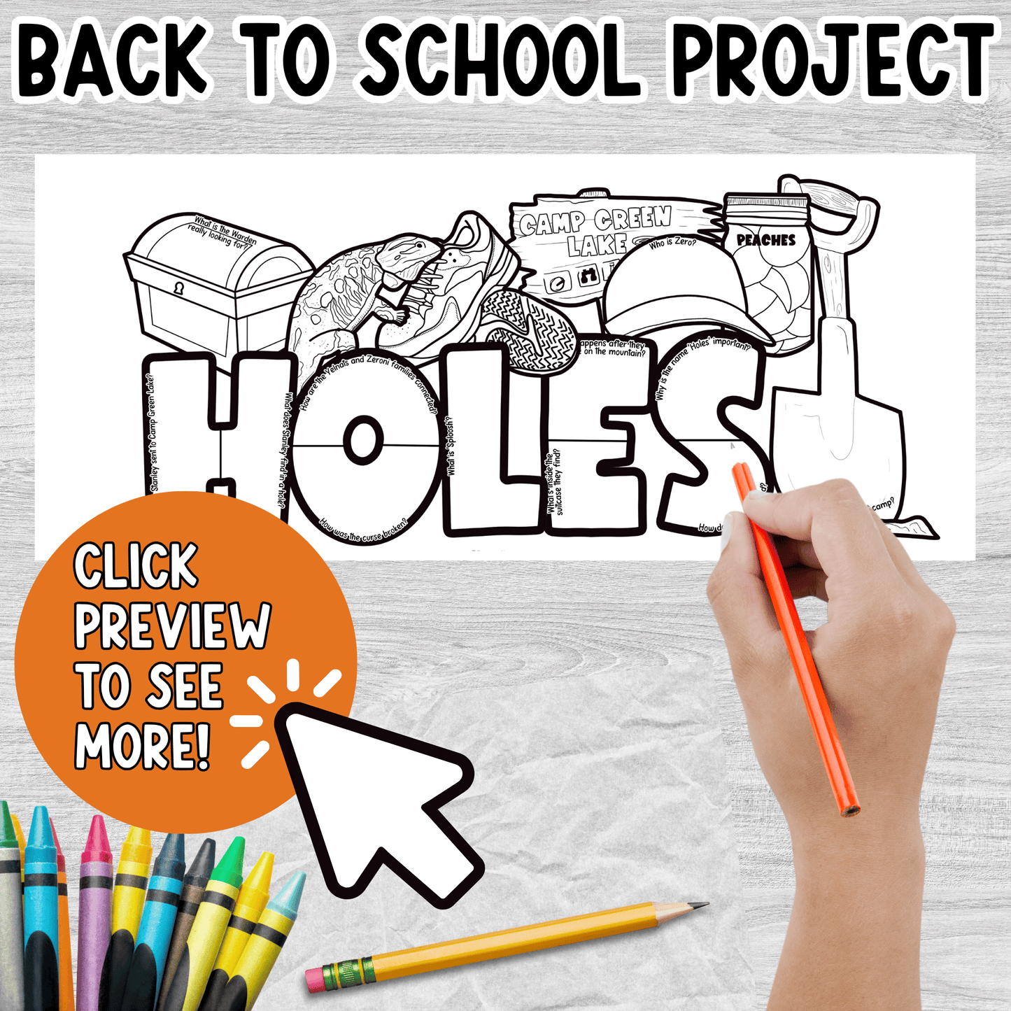 Holes Novel Study