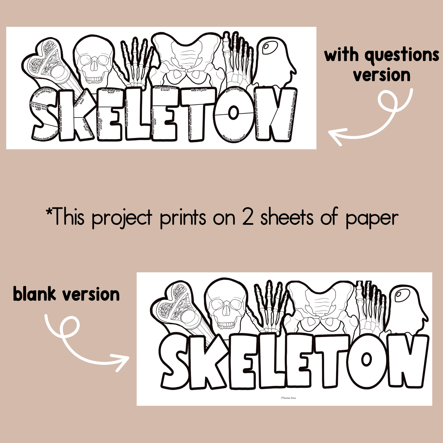 Skeleton Research Project