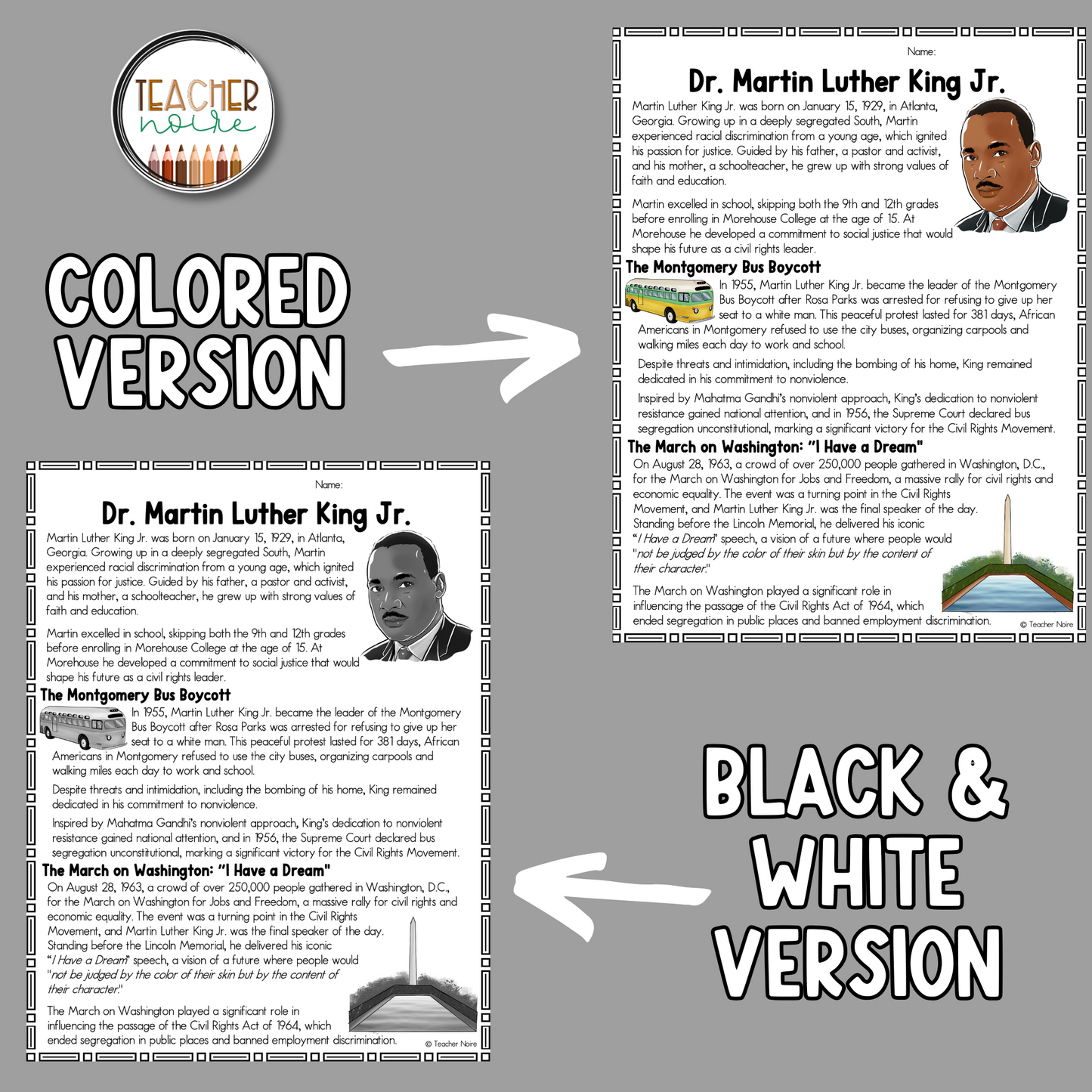 Martin Luther King Jr Reading Passage Project