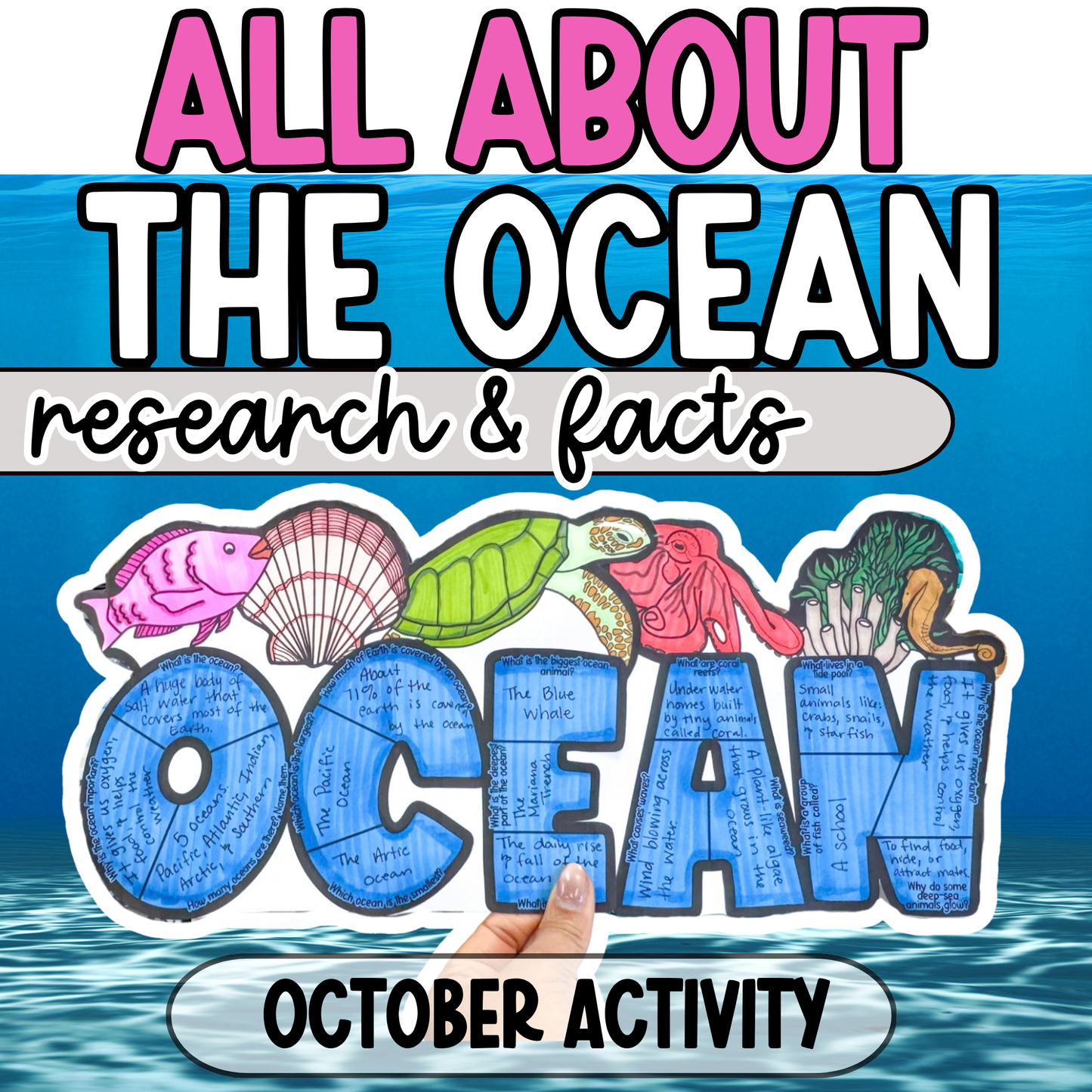 Ocean WRDZ Craft