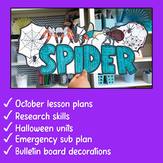 All About Spiders Project