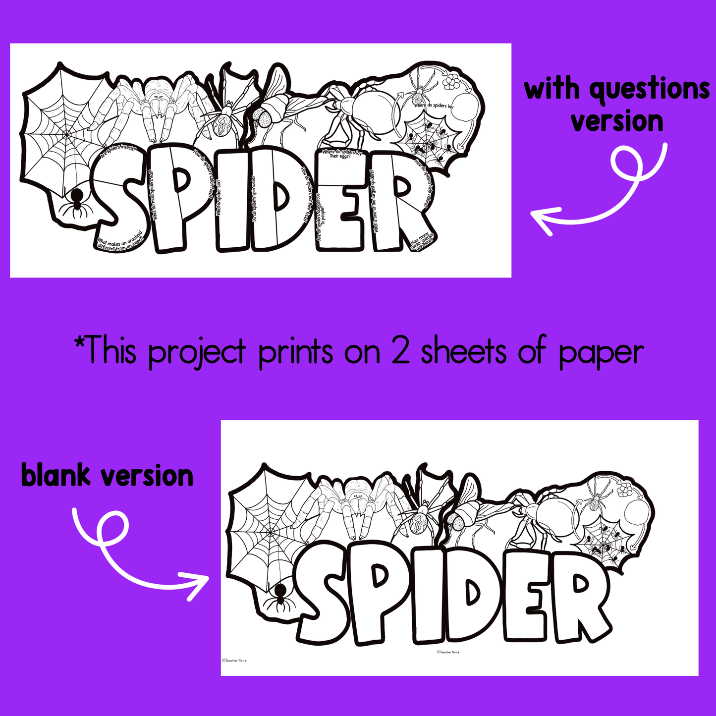 All About Spiders Project