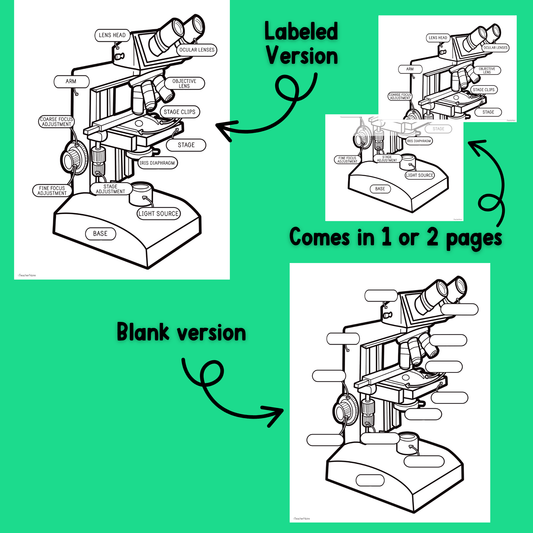 Parts of a Microscope