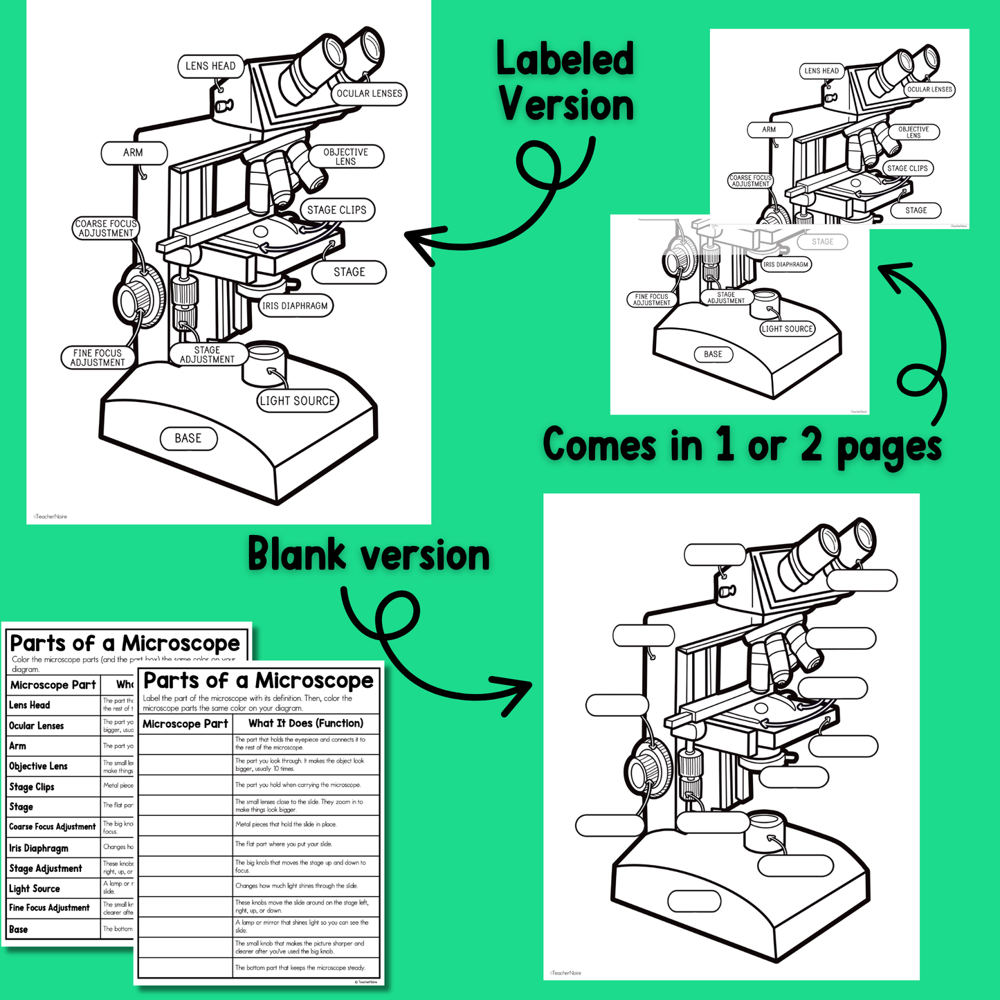 Parts of a Microscope