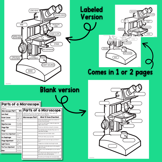 Parts of a Microscope