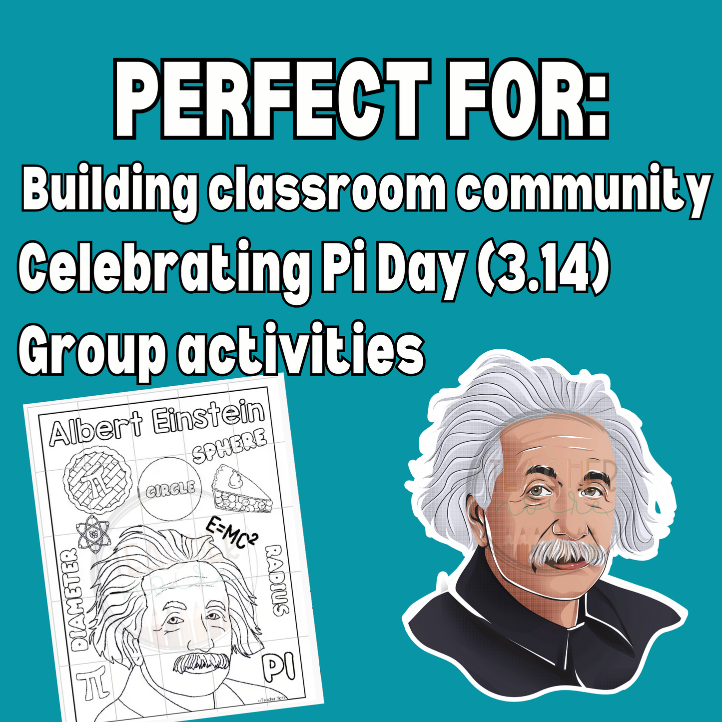Albert Einstein- Pi Day Activity