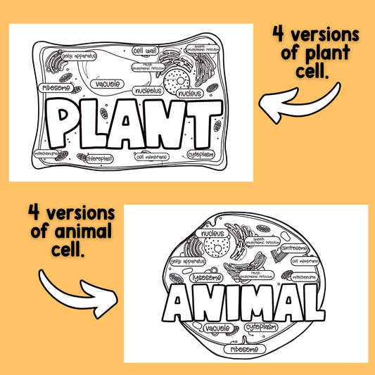 Plant and Animal Cells Bundle