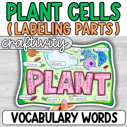 Plant Cells Craftivity