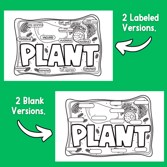 Plant Cells Craftivity