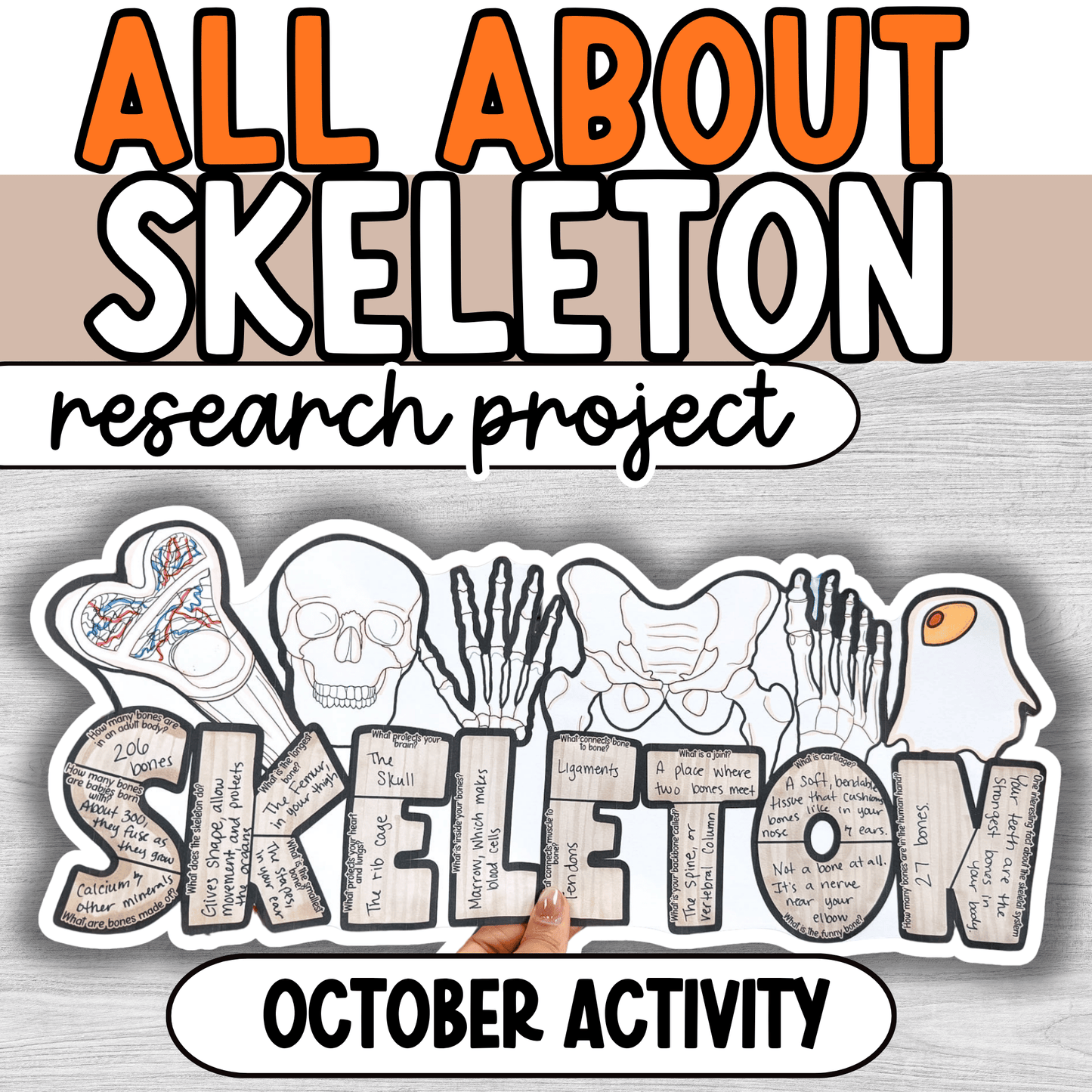 Skeleton Research Project