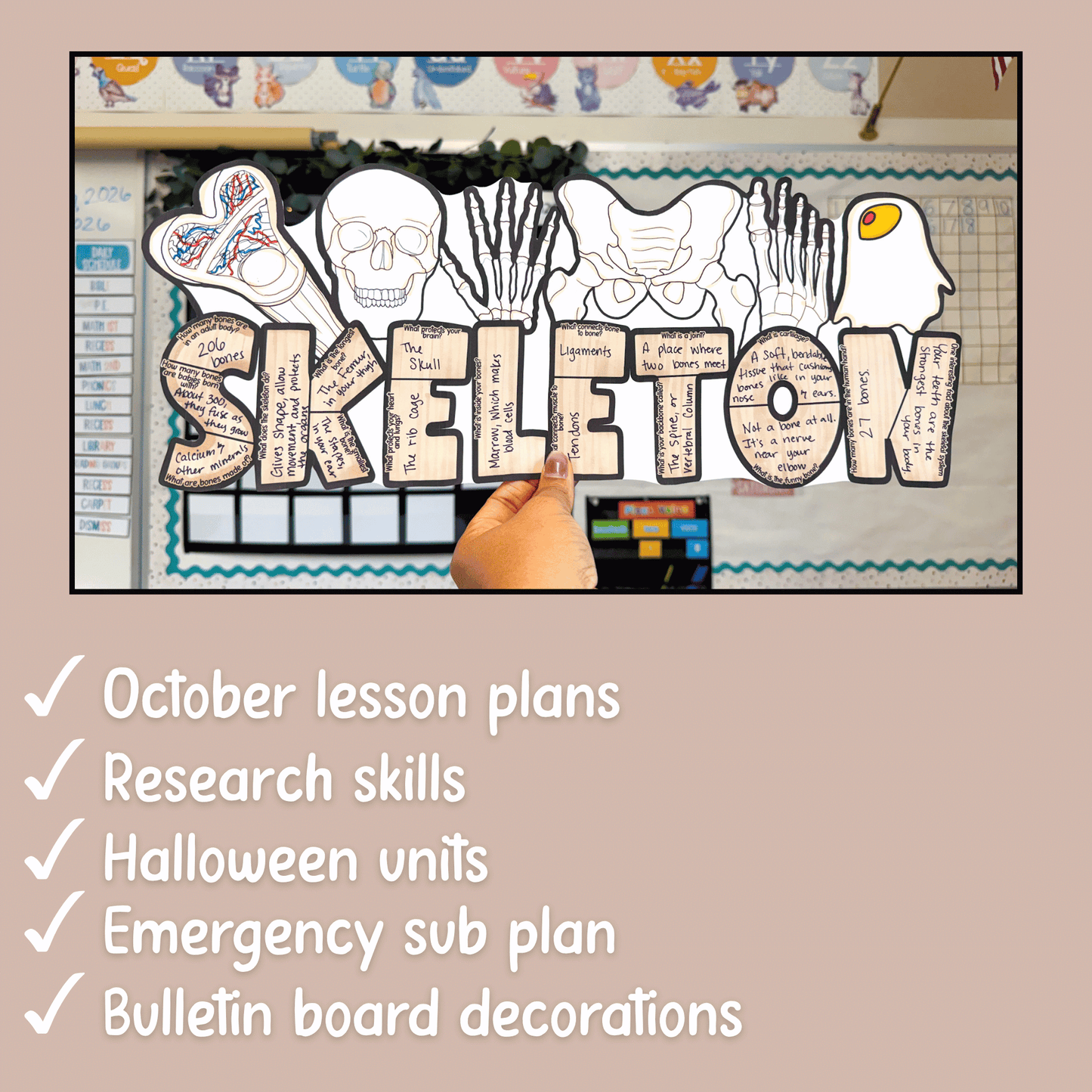 Skeleton Research Project