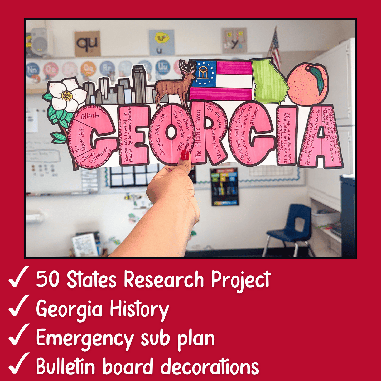 Georgia State Project