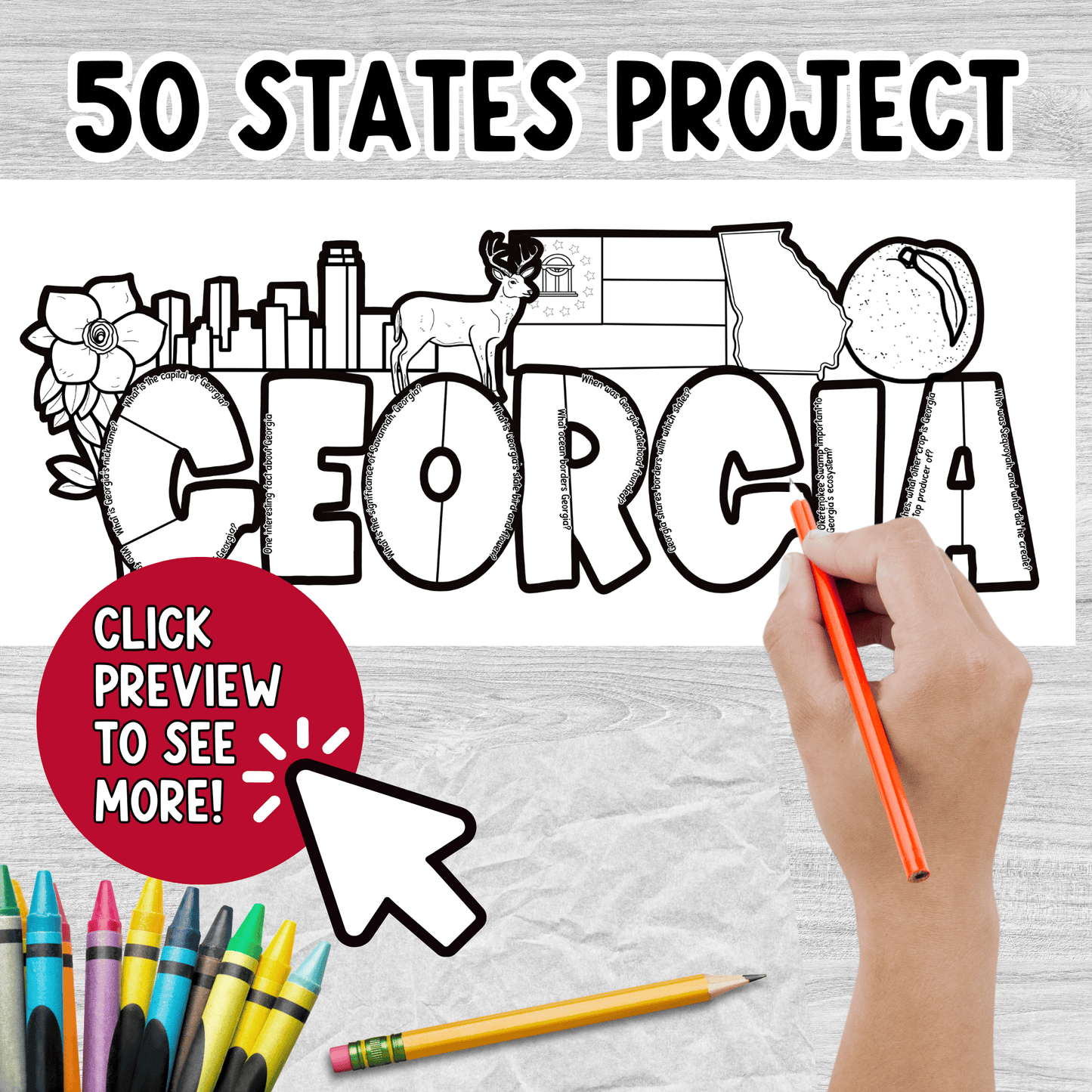 Georgia State Project