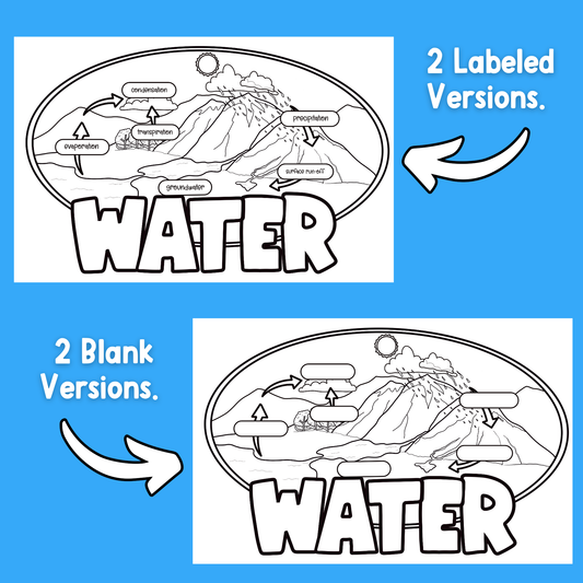 Water Cycle Craft Project
